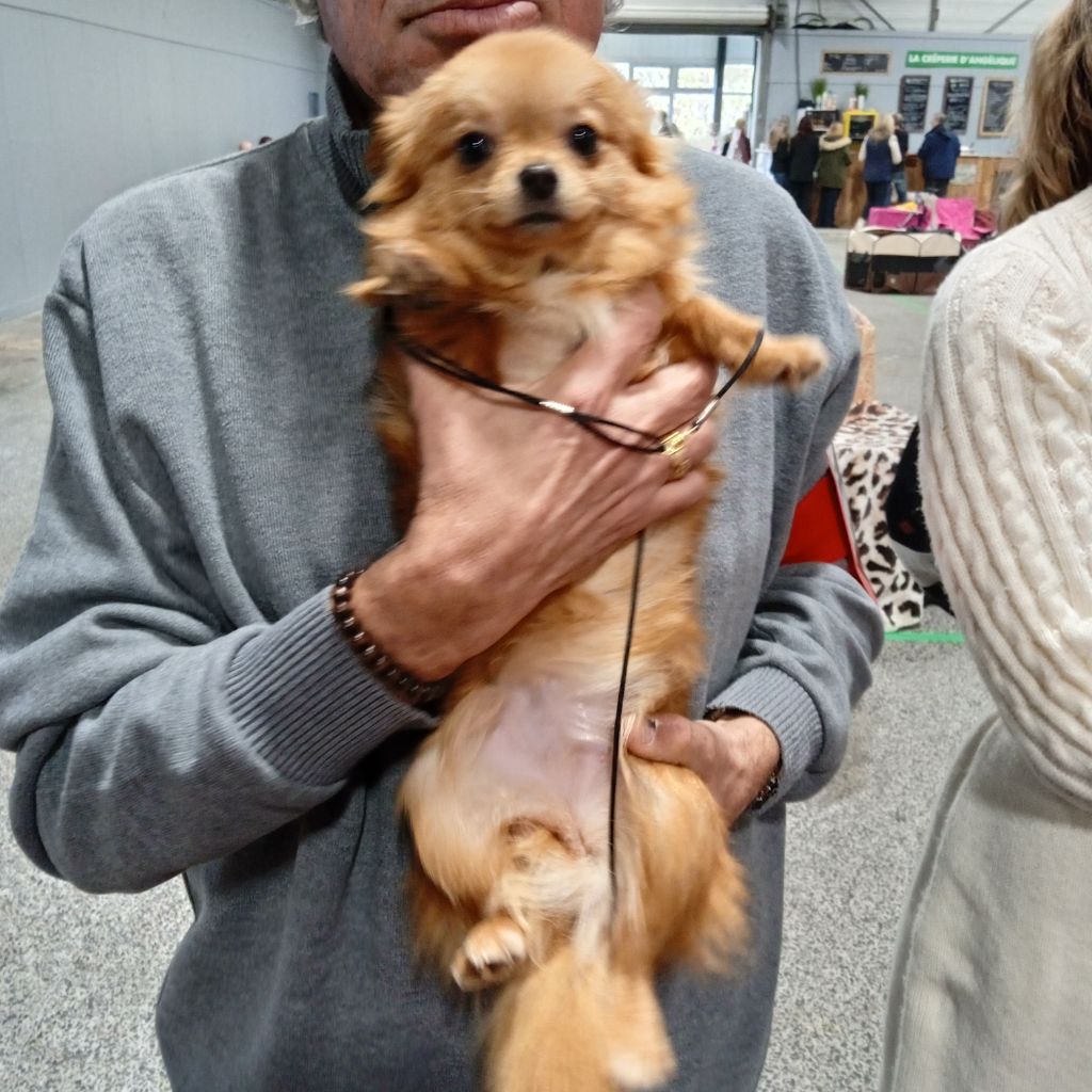 Valentina De L'Hacienda Del Perro