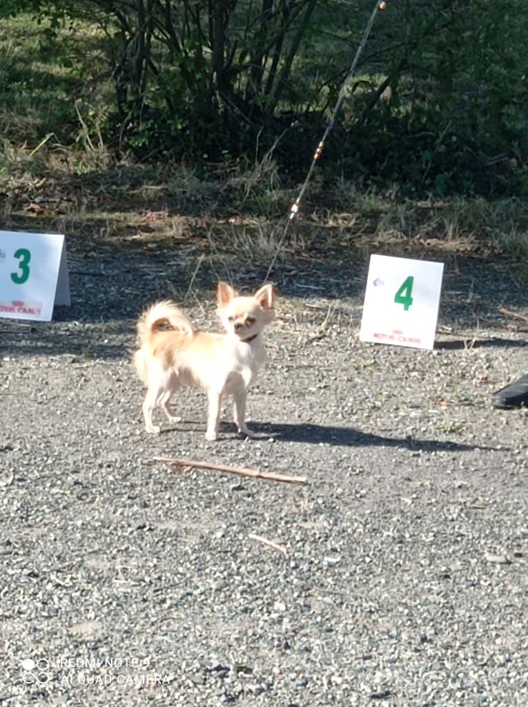 Valtat du royaume de Casabelle
